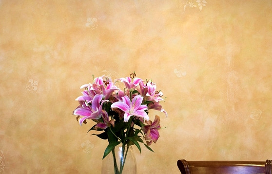 www.terazid.com