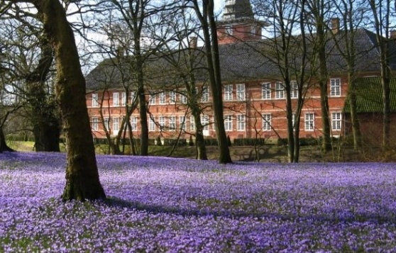 www.ferienhausmiete.de