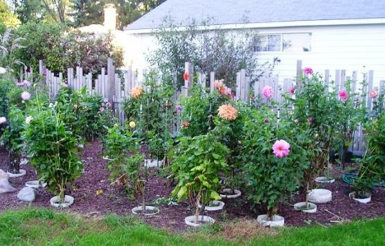 www.ohwhatabeautifulgarden-chicagoland.com