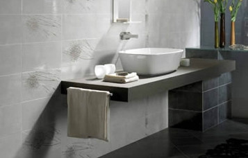 www.banispa.com
