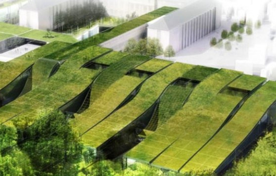 http://inspirationgreen.com
