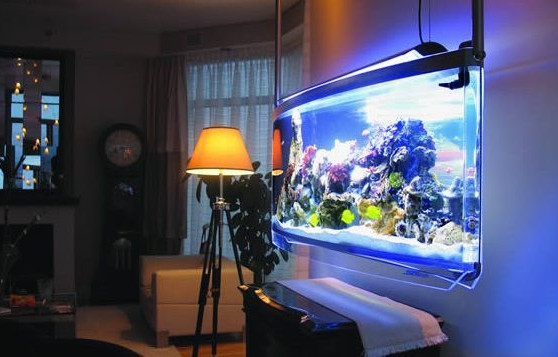 http://spacearium.net/