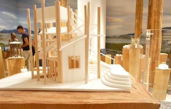 арр. Анета Трифонова