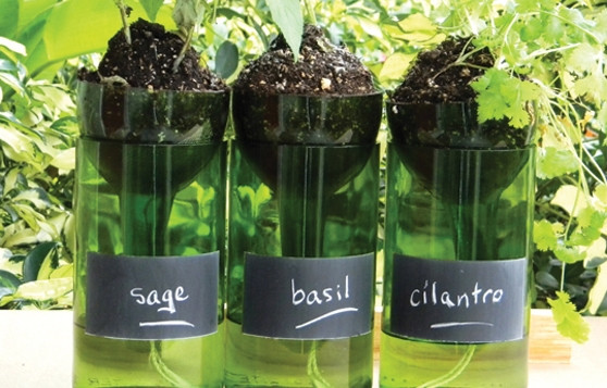 http://brandiaboo4s.loveitsomuch.com/stores/wine-bottle-planters-self-watering-with-chalkboard-1401799715,717747.html/174738