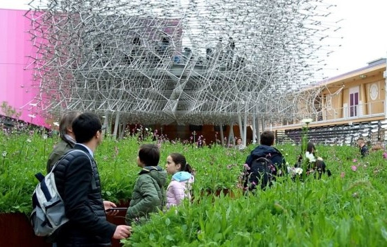 archdaily.com